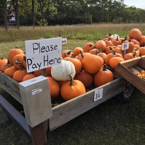 Meet your Posher, Marion